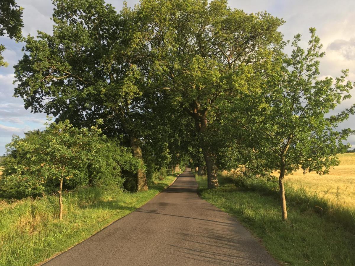 Dat Witte Hus Moritzdorf Ruegen Ferienwohnungen - Ruhige Lage 外观 照片