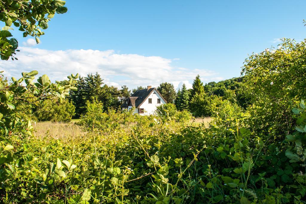 Dat Witte Hus Moritzdorf Ruegen Ferienwohnungen - Ruhige Lage 外观 照片